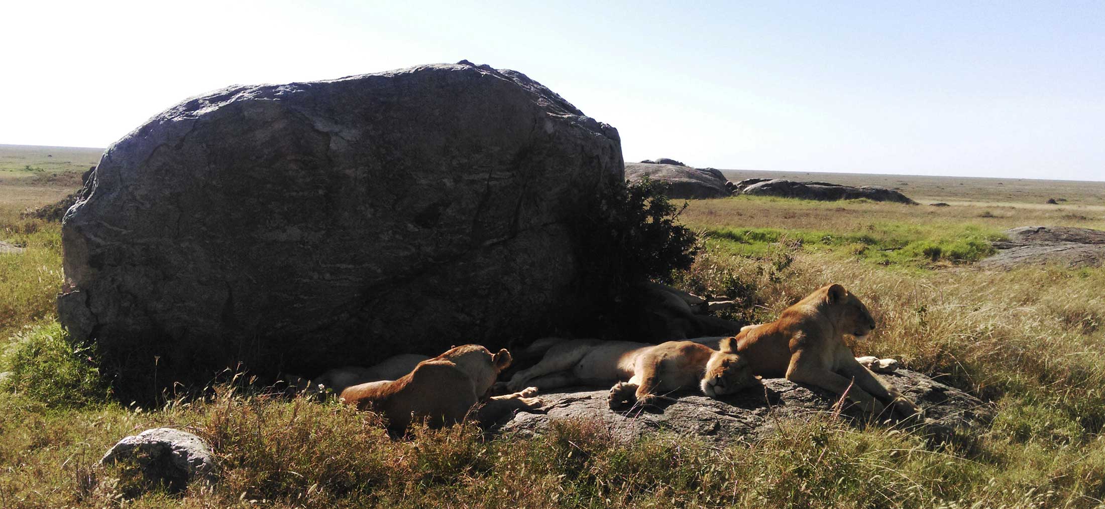 Serengeti National Park